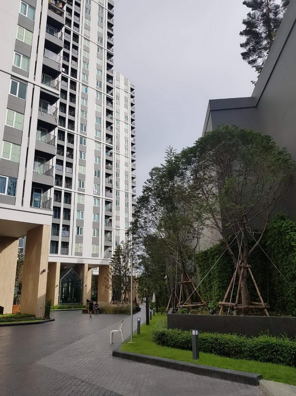 เช่าคอนโด แชปเตอร์วัน อีโค รัชดา-ห้วยขวาง คอนโดมิเนียม - Condo Rental Chapter One Eco Ratchada-Huai Khwang condominium - 540494