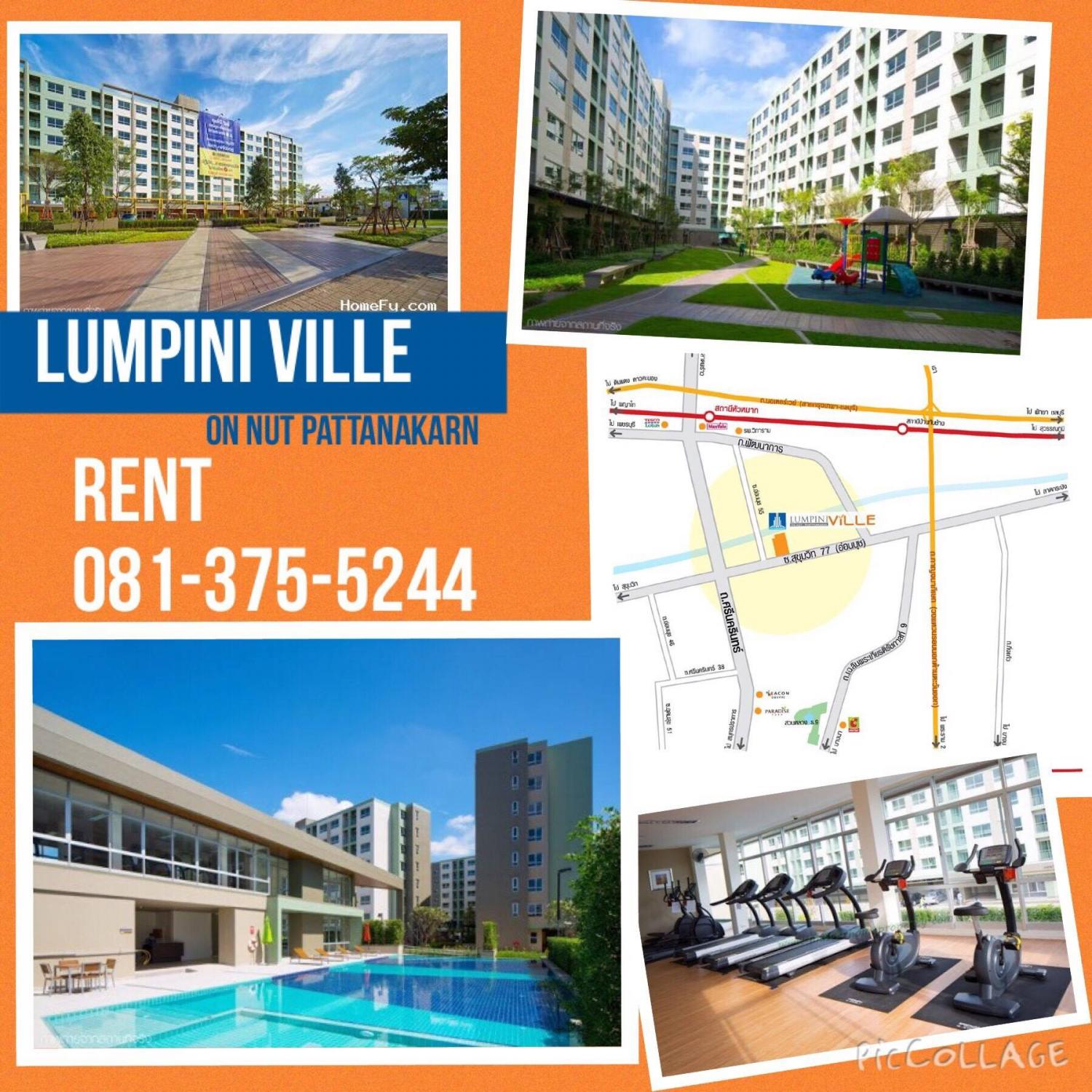 เช่าคอนโด ลุมพินี วิลล์ อ่อนนุช-พัฒนาการ คอนโดมิเนียม - Condo Rental Lumpini Ville Onnut - Phatthanakan condominium - 555526