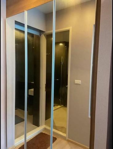 เช่าคอนโด ริทึ่ม สุขุมวิท 50 คอนโดมิเนียม - Condo Rental Rhythm Sukhumvit 50 condominium - 1241343