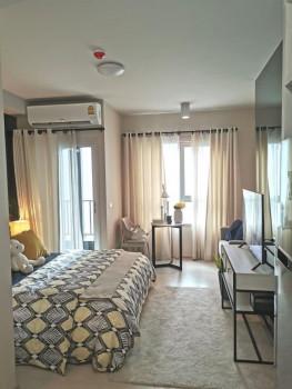 เช่าคอนโด แชปเตอร์วัน ชายน์ บางโพ คอนโดมิเนียม - Condo Rental Chapter One Shine Bangpo Condominium - 1538145