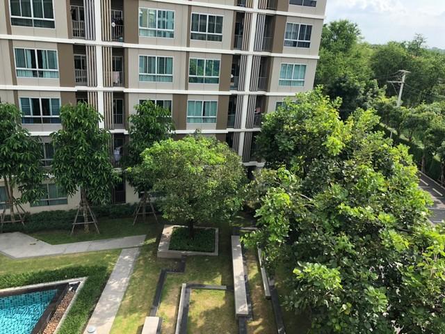 เช่าคอนโด ดีคอนโด รังสิต-ธรรมศาสตร์ - Condo Rental D Condo Rangsit-thammasat - 1577050