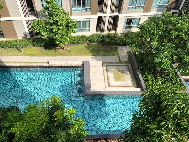 เช่าคอนโด ดีคอนโด รังสิต-ธรรมศาสตร์ - Condo Rental D Condo Rangsit-thammasat - 1577049