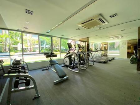 เช่าคอนโด ดีบุรา พรานนก คอนโดมิเนียม - Condo Rental Dbura Prannok condominium - 1584126