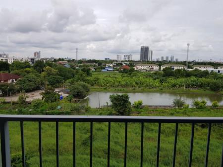 เช่าคอนโด เอสเพน คอนโด ลาซาล เฟสบี คอนโดมิเนียม - Condo Rental Aspen Condo Lasalle Phase B condominium - 1614818