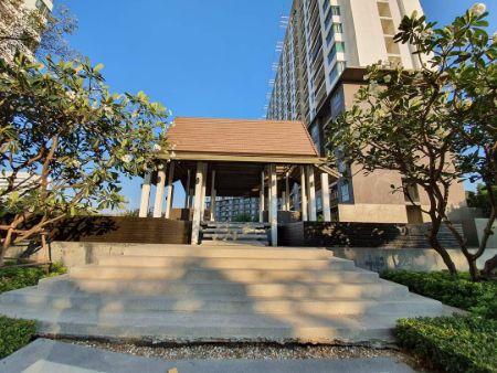 เช่าคอนโด เดอะ พาร์คแลนด์ ศรีนครินทร์ เลคไซด์ - Condo Rental The Parkland Srinakarin Lakeside - 1618609