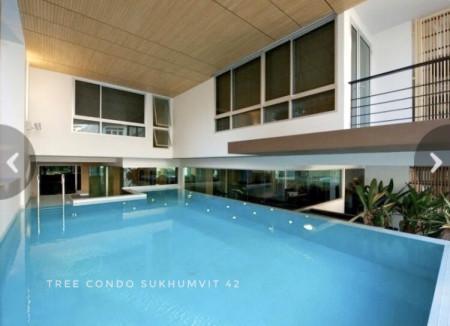 ขายคอนโด ทรี คอนโด สุขุมวิท42 คอนโดมิเนียม - Sell Condo Tree Condo Sukhumvit42 condominium - 1665530