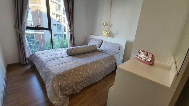 เช่าคอนโด ฮาสุ เฮ้าส์ คอนโดมิเนียม - Condo Rental Hasu Haus condominium - 1727966