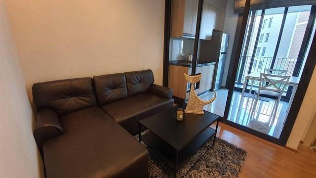 เช่าคอนโด ฮาสุ เฮ้าส์ คอนโดมิเนียม - Condo Rental Hasu Haus condominium - 1727961