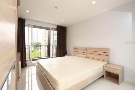 เช่าคอนโด TKF Condo Sukhumvit 52 : ทีเคเอฟ คอนโด สุขุมวิท 52 - Condo Rental   - 1849746