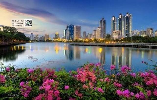 เช่าคอนโด ไฮ สุขุมวิท 93 คอนโดมิเนียม - Condo Rental Hi Sukhumvit 93 Condominium - 1860816