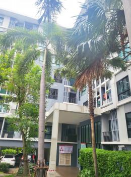 ขายคอนโด iCondo งามวงศ์วาน2 (ไอคอนโด งามวงศ์วาน2) - Sell Condo   - 1862077
