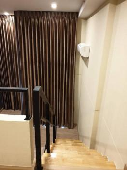 เช่าคอนโด ไนท์บริดจ์ ดูเพล็กซ์ ติวานนท์ คอนโดมิเนียม - Condo Rental Knightsbridge Duplex Tiwanon condominium  - 1900890