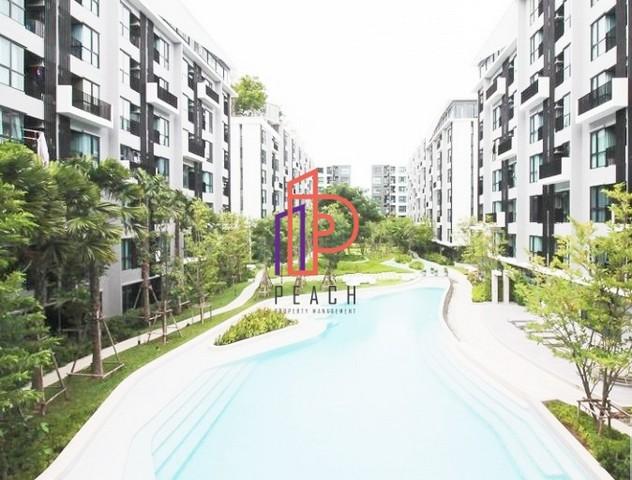 เช่าคอนโด เคฟ คอนโด รังสิต คอนโดมิเนียม - Condo Rental Kave Condo Rangsit condominium - 1931752
