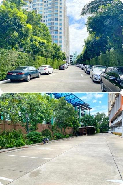 เช่าคอนโด เซ็นทริค ซีน รัชวิภา คอนโดมิเนียม - Condo Rental Centric Scene Ratchavipa condominium - 1932367