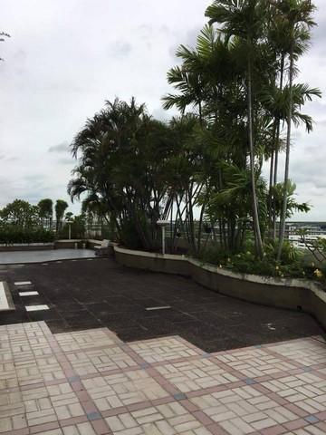 ขายคอนโด เดอะ ทรีโอ การ์เด้นท์ คอนโดมิเนียม - Sell Condo The Trio Garden condominium - 1937708