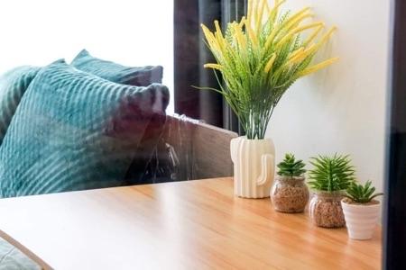เช่าคอนโด โมดิซ สุขุมวิท 50 คอนโดมิเนียม - Condo Rental Modiz Sukhumvit 50 condominium - 1980983