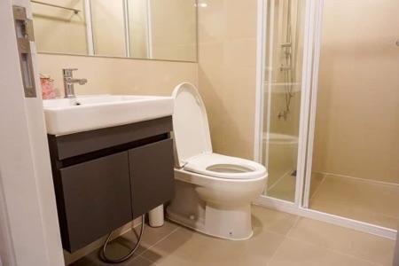 เช่าคอนโด โมดิซ สุขุมวิท 50 คอนโดมิเนียม - Condo Rental Modiz Sukhumvit 50 condominium - 1980985