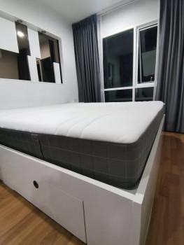 เช่าคอนโด ซิตี้ โฮม ศรีนครินทร์ คอนโดมิเนียม - Condo Rental City Home Srinakarin condominium - 1991747