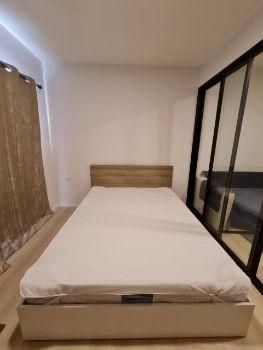 เช่าคอนโด นิช โมโน เมกะ สเปซ บางนา คอนโดมิเนียม - Condo Rental Niche MONO Mega Space Bangna condominium - 2063523
