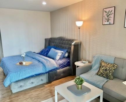 เช่าคอนโด รีเจ้นท์ โฮม 14 สุขุมวิท93 คอนโดมิเนียม - Condo Rental Regent Home14 Sukhumvit93 condominium - 2068223