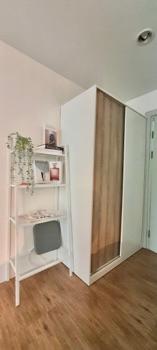 เช่าคอนโด รีเจ้นท์ โฮม 14 สุขุมวิท93 คอนโดมิเนียม - Condo Rental Regent Home14 Sukhumvit93 condominium - 2068226