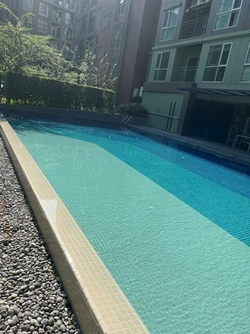 ขายคอนโด ลุมพินี เพลส บางนา กม.3 คอนโดมิเนียม - Sell Condo Lumpini Place Bangna Km.3 condominium - 2076536