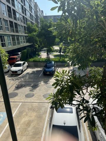 ขายคอนโด ลุมพินี เพลส บางนา กม.3 คอนโดมิเนียม - Sell Condo Lumpini Place Bangna Km.3 condominium - 2076537