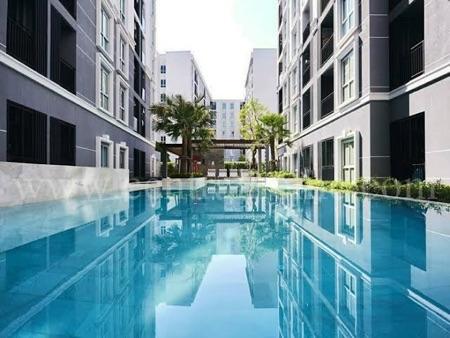 เช่าคอนโด พลัม คอนโด แจ้งวัฒนะ สเตชั่น - Condo Rental Plum Condo Chaengwattana Station - 2129202