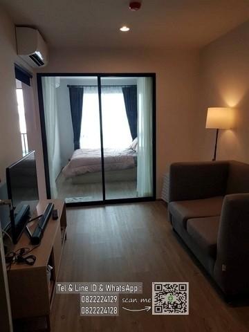เช่าคอนโด ไฮ สุขุมวิท 93 คอนโดมิเนียม - Condo Rental Hi Sukhumvit 93 Condominium - 2131871