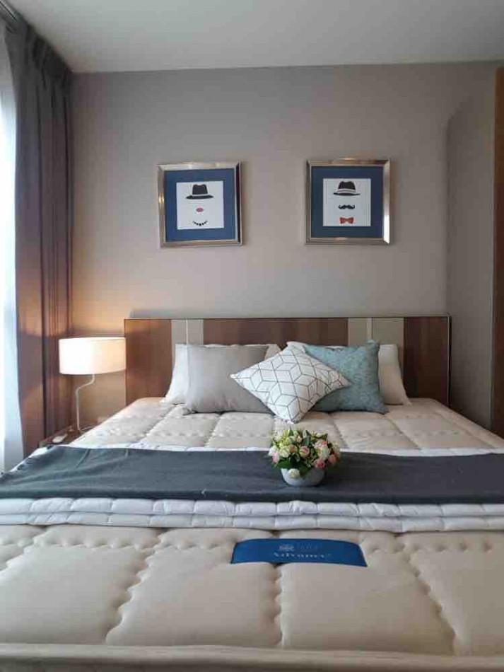 เช่าคอนโด ไลฟ์ สุขุมวิท48 คอนโดมิเนียม - Condo Rental Life Sukhumvit48 condominium - 2133937