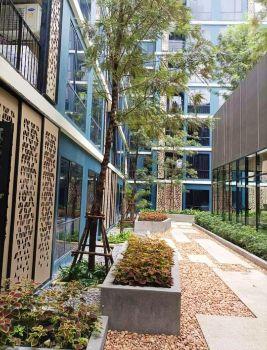 เช่าคอนโด บีท บางหว้า อินเตอร์เชนจ์ คอนโดมิเนียม - Condo Rental BEAT Bangwa Interchange condominium - 2201898