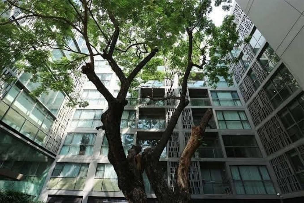 เช่าคอนโด Via BOTANI (เวีย โบทานี) - Condo Rental   - 2221611