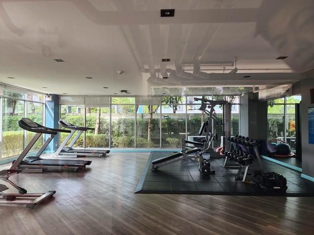 เช่าคอนโด เดอะ คิทท์ พลัส พหลโยธิน-คูคต คอนโดมิเนียม - Condo Rental The Kith Plus Phahonyothin-Khukot Condominium - 2239438