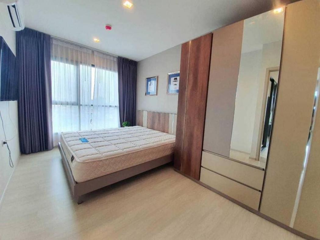 เช่าคอนโด ไลฟ์ สุขุมวิท48 คอนโดมิเนียม - Condo Rental Life Sukhumvit48 condominium - 2274492