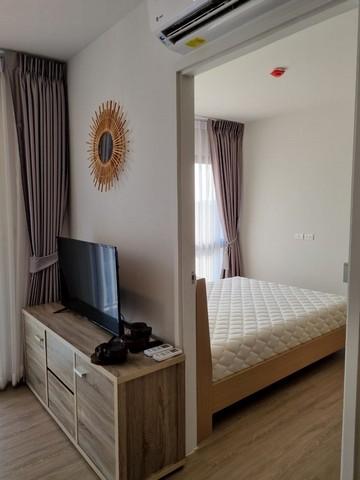 ขายคอนโด โดว์เช่ ลาซาล คอนโดมิเนียม - Sell Condo Dolce Lasalle codominium - 2283077