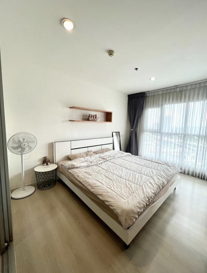 เช่าคอนโด แอสไพร์ สุขุมวิท48 คอนโดมิเนียม - Condo Rental Aspire Sukhumvit48 condominium - 2295396