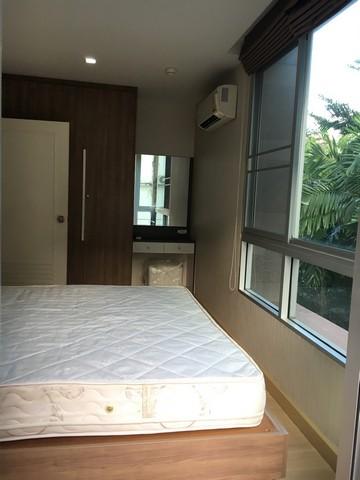 เช่าคอนโด ทรี คอนโด สุขุมวิท42 คอนโดมิเนียม - Condo Rental Tree Condo Sukhumvit42 condominium - 2358538