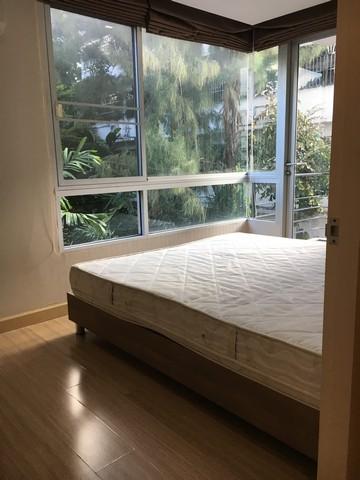 เช่าคอนโด ทรี คอนโด สุขุมวิท42 คอนโดมิเนียม - Condo Rental Tree Condo Sukhumvit42 condominium - 2358539