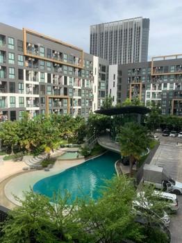 เช่าคอนโด แบงค์คอก ฮอไรซอน ไลท์ @ สถานีเพชรเกษม 48 คอนโดมิเนียม - Condo Rental Bangkok Horizon Lite @ Phetkasem 48 Station Condominium - 2409522
