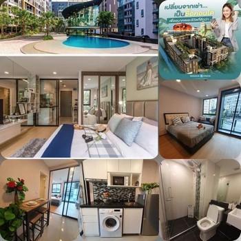 เช่าคอนโด แบงค์คอก ฮอไรซอน ไลท์ @ สถานีเพชรเกษม 48 คอนโดมิเนียม - Condo Rental Bangkok Horizon Lite @ Phetkasem 48 Station Condominium - 2409523