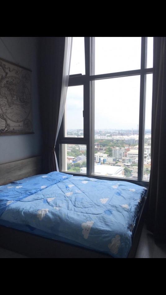 เช่าคอนโด เดอะ ไลน์ สุขุมวิท 101 คอนโดมิเนียม - Condo Rental The Line Sukhumvit 101 condominium - 2431295