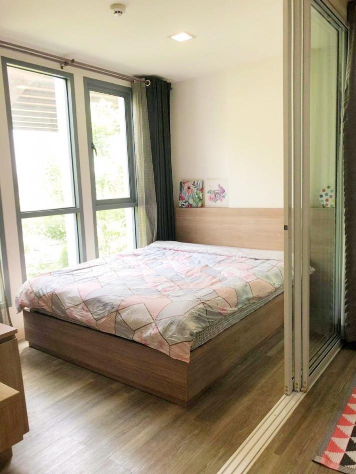 ขายคอนโด Moniiq Condo สุขุมวิท 64 - Sell Condo   - 2437007