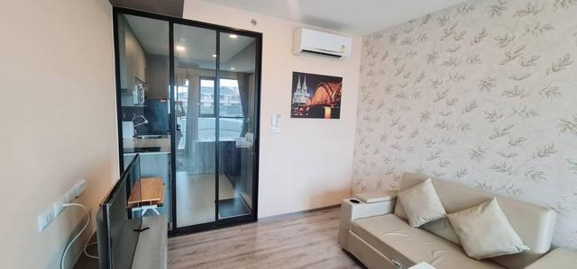 เช่าคอนโด ไนท์บริดจ์ คอลลาจ สุขุมวิท 107 คอนโดมิเนียม - Condo Rental KnightsBridge Collage Sukhumvit 107 condominium - 2461179