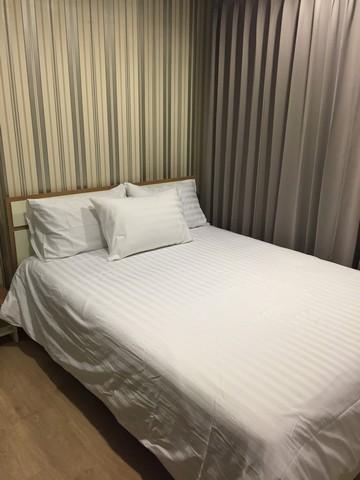 เช่าคอนโด เทมโป้ วัน รามคำแหง - พระราม9 คอนโดมิเนียม - Condo Rental Tempo One Ramkhamhaeng - Rama9 condominium - 2461320