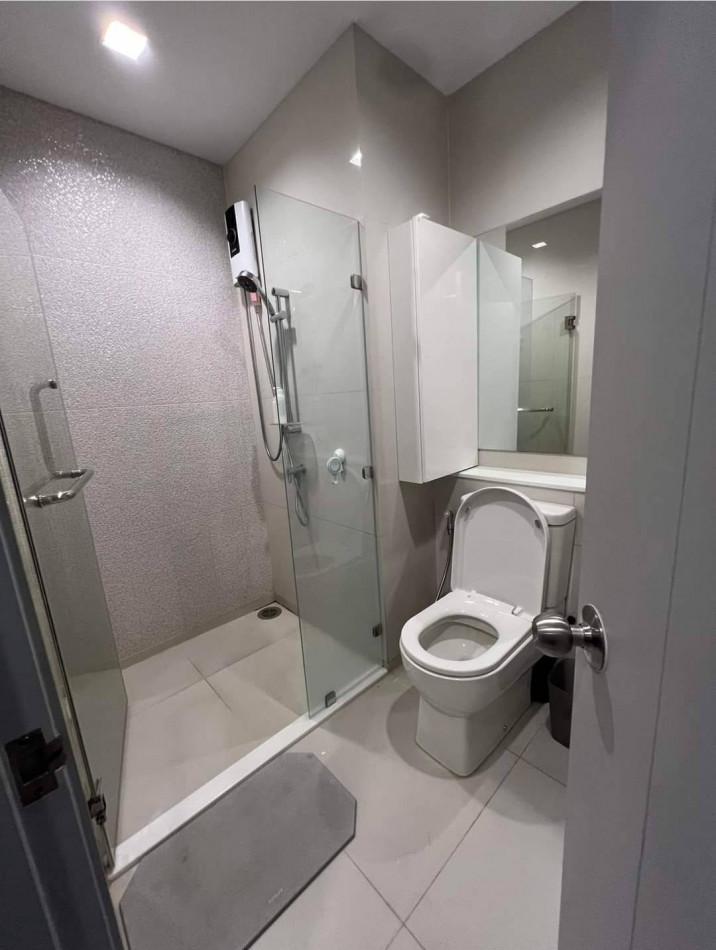 เช่าคอนโด ไลฟ์ สุขุมวิท 62 คอนโดมิเนียม - Condo Rental Life Sukhumvit 62 condominium - 2463954