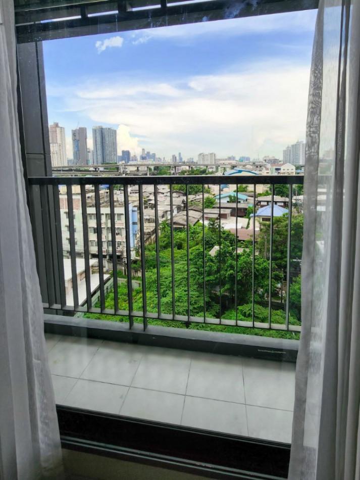 เช่าคอนโด ไลฟ์ สุขุมวิท48 คอนโดมิเนียม - Condo Rental Life Sukhumvit48 condominium - 2468166