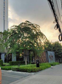เช่าคอนโด The Key Rama3 - Condo Rental   - 2473781