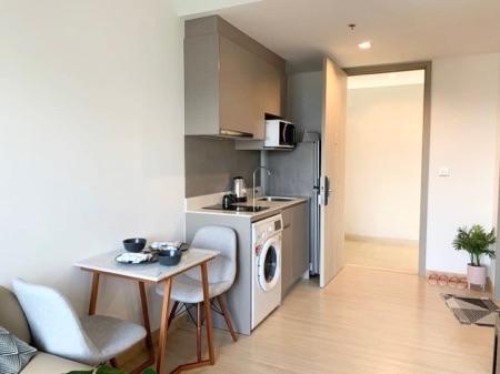 เช่าคอนโด วิสซ์ดอม คอนเนค สุขุมวิท คอนโดมิเนียม - Condo Rental Whizdom Connect Sukhumvit condominium - 2494650