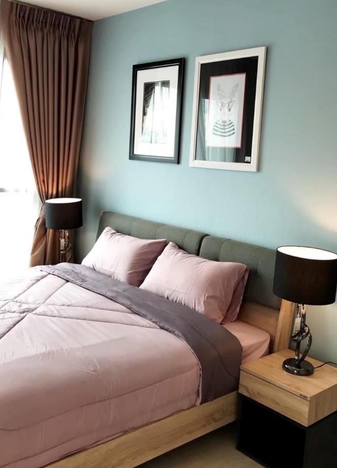 เช่าคอนโด ไลฟ์ สุขุมวิท48 คอนโดมิเนียม - Condo Rental Life Sukhumvit48 condominium - 2496216