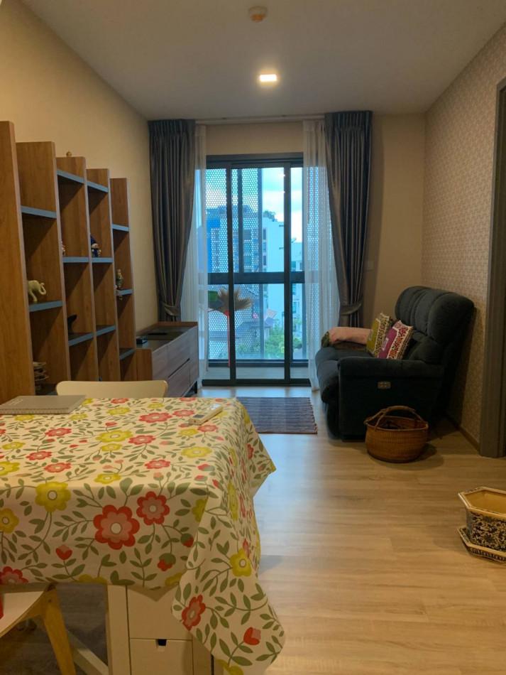 เช่าคอนโด TAKA HAUS EKAMAI 12 : ทากะ เฮ้าส์ เอกมัย 12 - Condo Rental   - 2512937